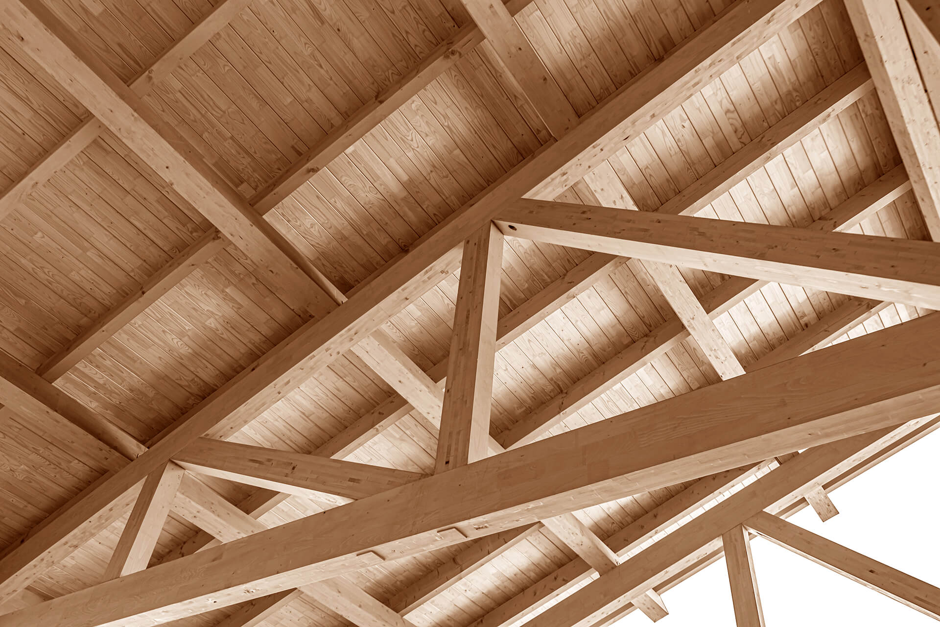 realizzazione strutture e tetti in legno